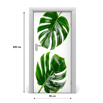 Lámina adhesiva de puerta Monstera