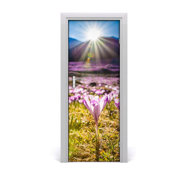 Vinilo para puerta Crocus en el monte