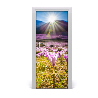 Vinilo para puerta Crocus en el monte