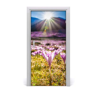 Vinilo para puerta Crocus en el monte