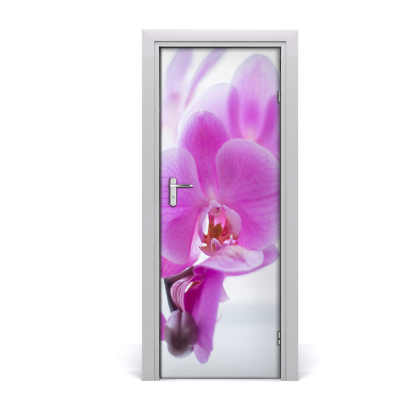 Lámina adhesiva de puerta Orquídea rosa