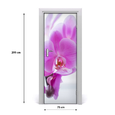 Lámina adhesiva de puerta Orquídea rosa