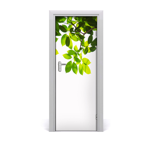 Lámina adhesiva de puerta Hojas verdes