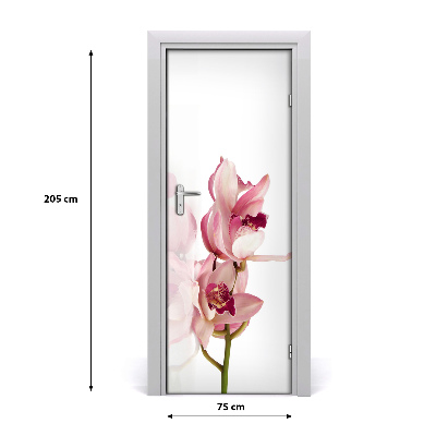 Lámina adhesiva de puerta Orquídea rosa