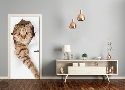 Vinilo para puerta Pared gato