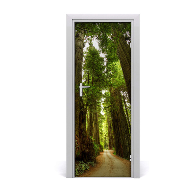 Vinilo para puerta Camino en el bosque