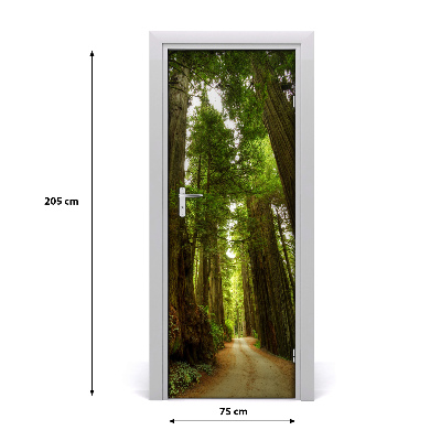 Vinilo para puerta Camino en el bosque