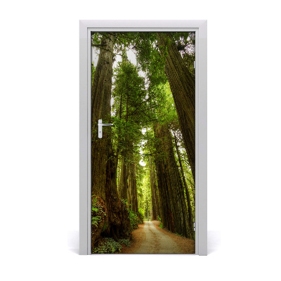 Vinilo para puerta Camino en el bosque