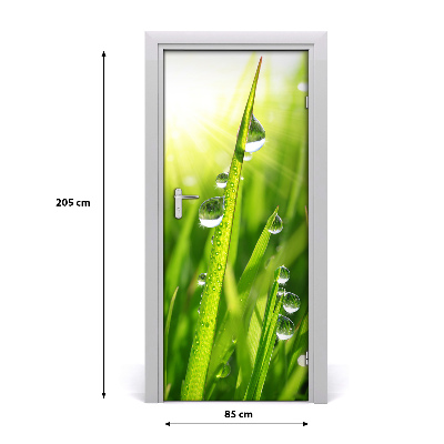 Vinilo para puerta Briznas de hierba