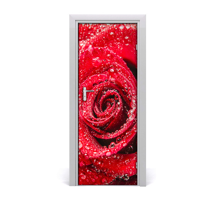 Vinilo para puerta Una rosa roja