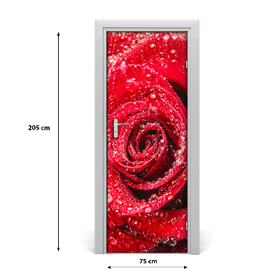 Vinilo para puerta Una rosa roja