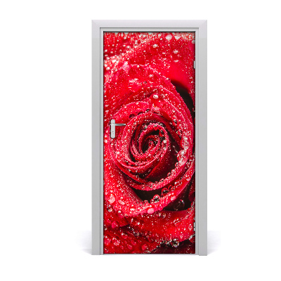 Vinilo para puerta Una rosa roja
