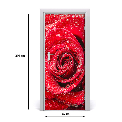 Vinilo para puerta Una rosa roja