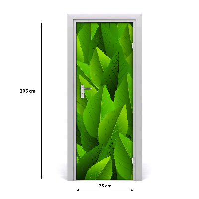 Lámina adhesiva de puerta Hojas verdes