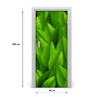 Lámina adhesiva de puerta Hojas verdes