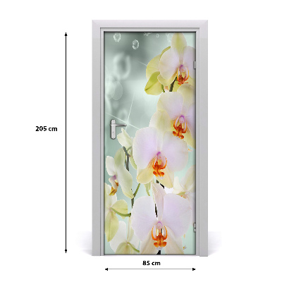 Vinilo para puerta Para la puerta orquídea
