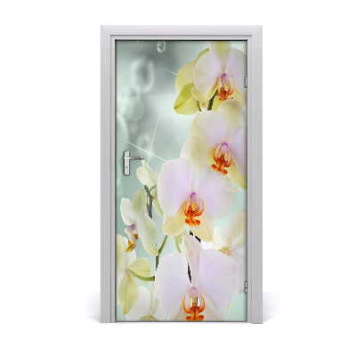 Vinilo para puerta Para la puerta orquídea