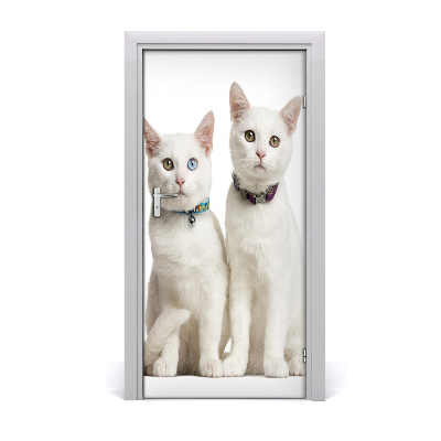 Vinilo para puerta Dos gatos blancos