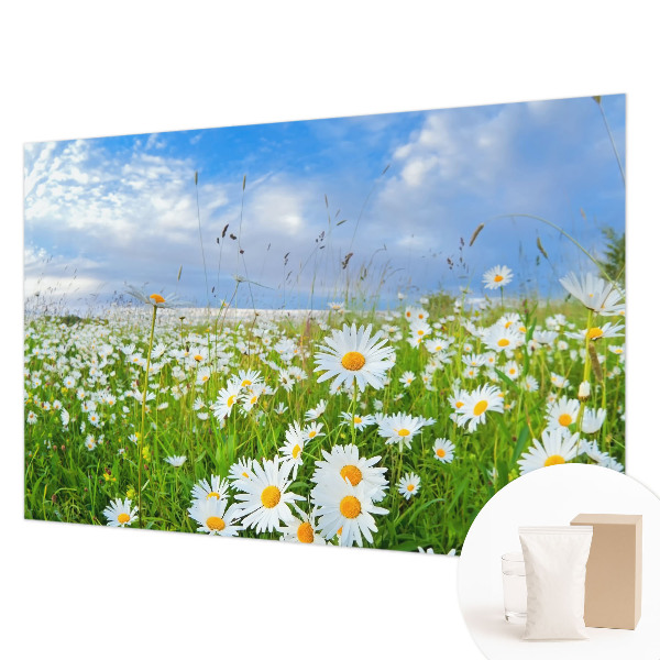 Papel mural con patrón decorativo con diseño «Pradera de verano»