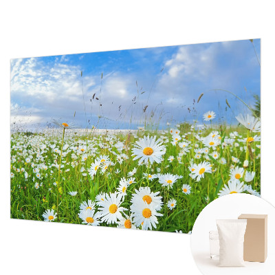 Papel mural con patrón decorativo con diseño «Pradera de verano»