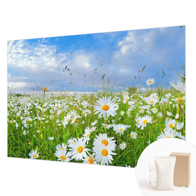 Papel mural con patrón decorativo con diseño «Pradera de verano»