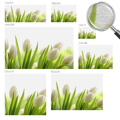 Fotomural decorativo para cabecero de cama con diseño de tulipanes blancos