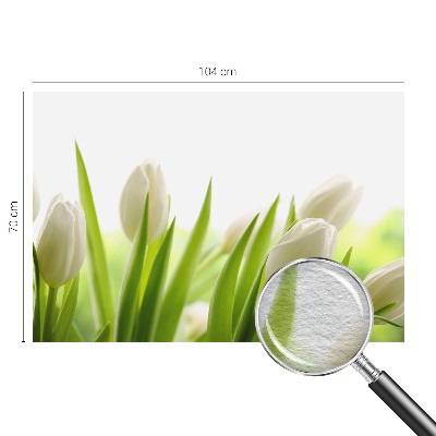Fotomural decorativo para cabecero de cama con diseño de tulipanes blancos