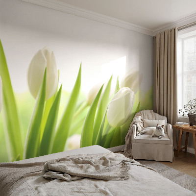 Fotomural decorativo para cabecero de cama con diseño de tulipanes blancos