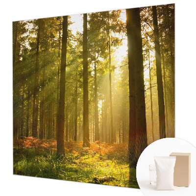 Papel mural con patrón decorativo con diseño 
