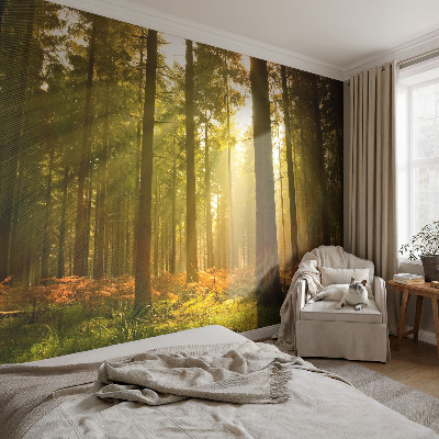 Papel mural con patrón decorativo con diseño 