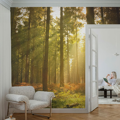 Papel mural con patrón decorativo con diseño 