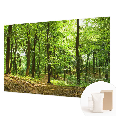Papel mural con patrón decorativo con diseño Sendero natural para decoración de paredes