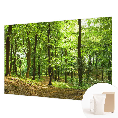 Papel mural con patrón decorativo con diseño Sendero natural para decoración de paredes