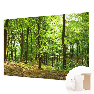 Papel mural con patrón decorativo con diseño Sendero natural para decoración de paredes