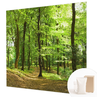 Papel mural con patrón decorativo con diseño Sendero natural para decoración de paredes