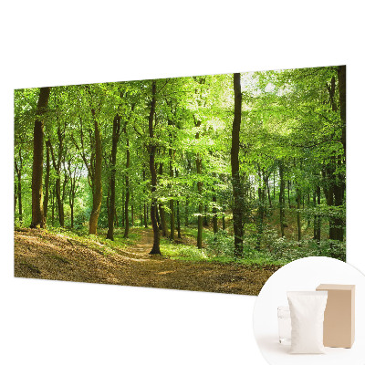 Papel mural con patrón decorativo con diseño Sendero natural para decoración de paredes