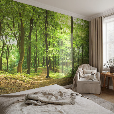 Papel mural con patrón decorativo con diseño Sendero natural para decoración de paredes