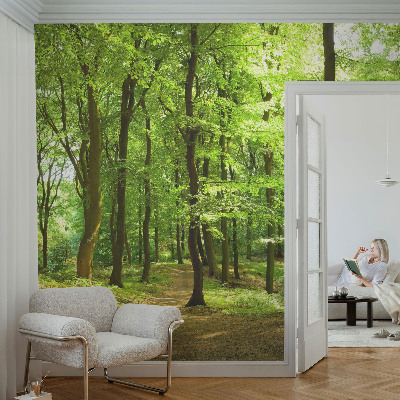 Papel mural con patrón decorativo con diseño Sendero natural para decoración de paredes