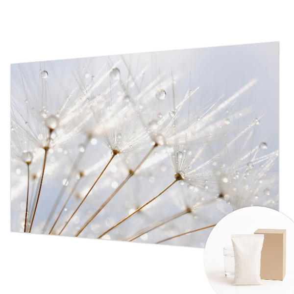 Fotomural decorativo para cabecero de cama con motivo de diente de león en tonos rosados