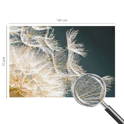 Fotomural decorativo para cabecero de cama con diseño de diente de león que transmite ligereza