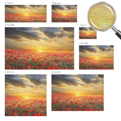 Papel mural con patrón decorativo con motivo de campo de amapolas
