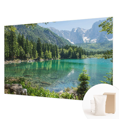 Mural decorativo con diseño de lago verde