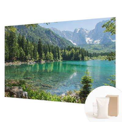 Mural decorativo con diseño de lago verde