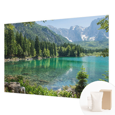 Mural decorativo con diseño de lago verde