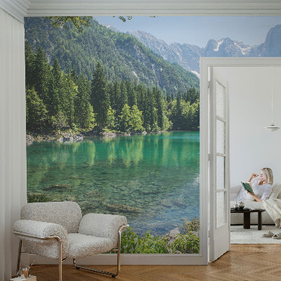 Mural decorativo con diseño de lago verde