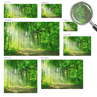 Mural de pared con estampado hermoso con motivo de sendero forestal
