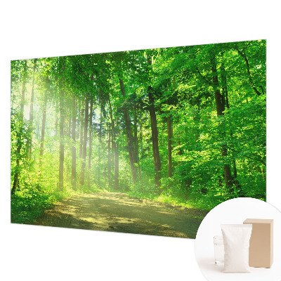 Mural de pared con estampado hermoso con motivo de sendero forestal