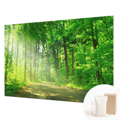 Mural de pared con estampado hermoso con motivo de sendero forestal