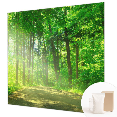 Mural de pared con estampado hermoso con motivo de sendero forestal