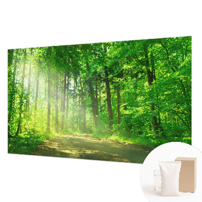 Mural de pared con estampado hermoso con motivo de sendero forestal